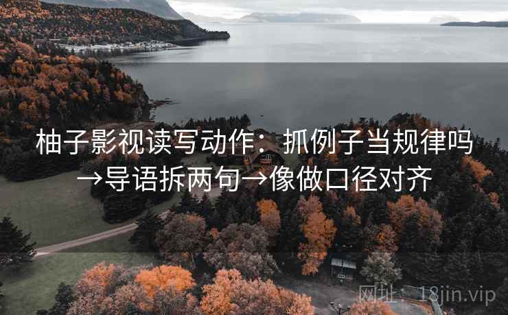 柚子影视读写动作：抓例子当规律吗→导语拆两句→像做口径对齐