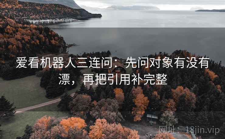 爱看机器人三连问：先问对象有没有漂，再把引用补完整